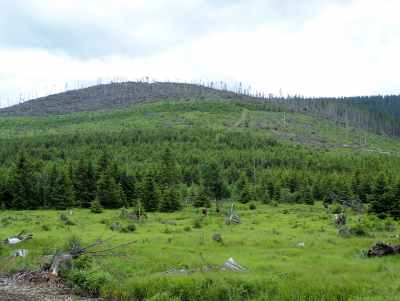 B�hmerwaldkuppe